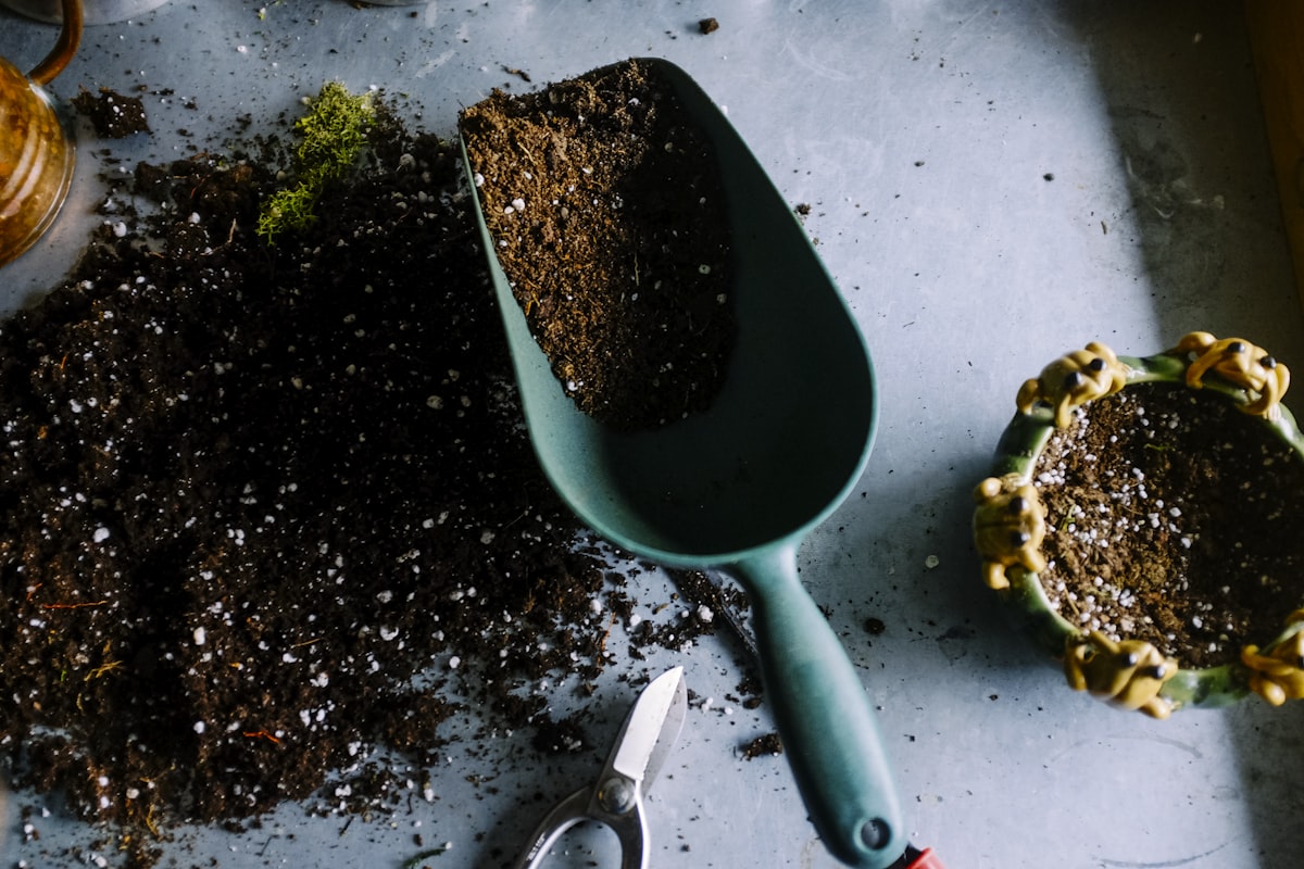 Garden Drainage Solutions: Protecting Your Property from Waterlogging